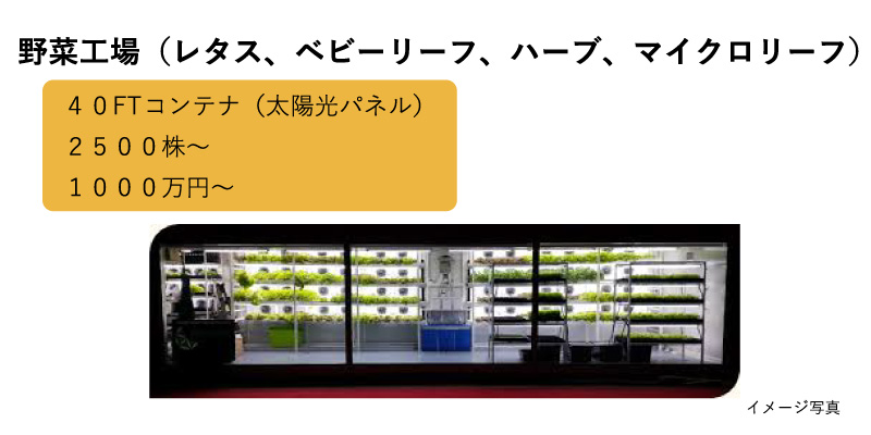 野菜⼯場（レタス、ベビーリーフ、ハーブ、マイクロリーフ）